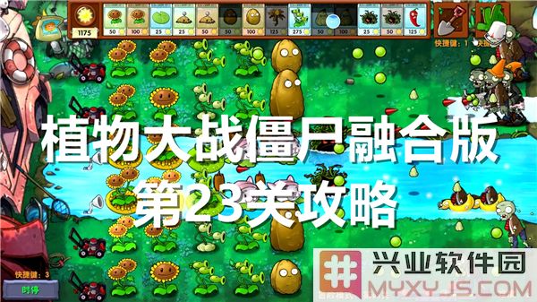 植物大战僵尸融合版第23关攻略：如何在重重困难中取得胜利！
