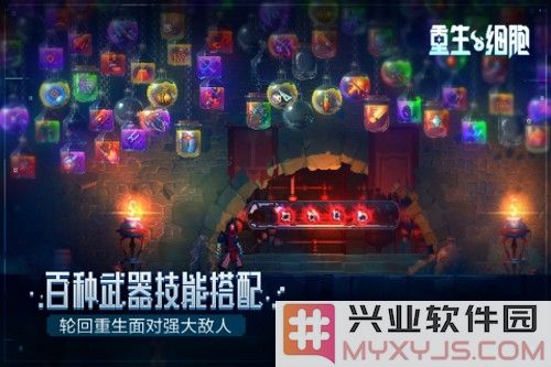 重生细胞2024版本截图3