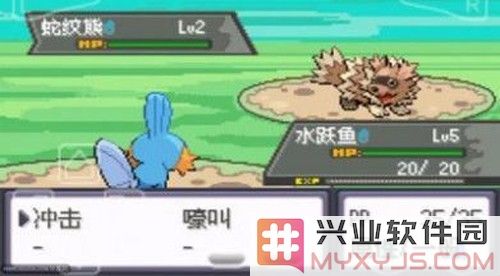 口袋妖怪绿宝石随机版截图5