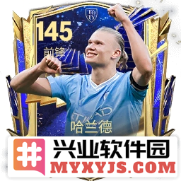 哈姆领衔梅罗仍在《FC足球世界》TOTY年度最佳阵容