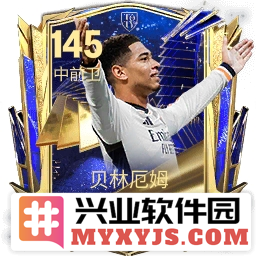哈姆领衔梅罗仍在《FC足球世界》TOTY年度最佳阵容