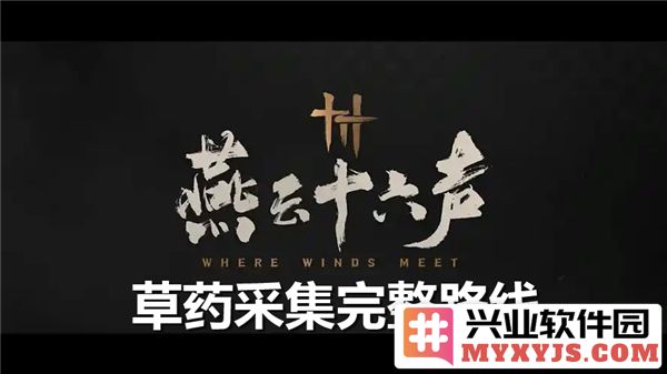 燕云十六声草药采集的完整路线分享与速采草药技巧探讨