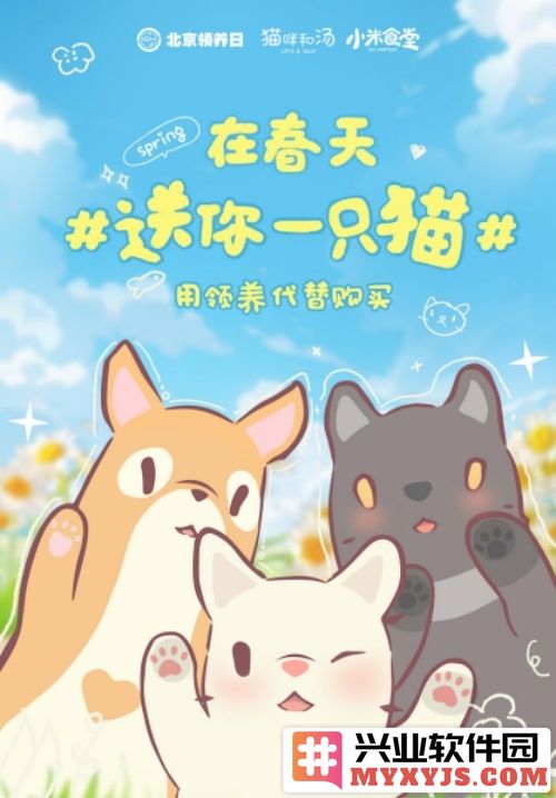 与猫共度美好时光：北京领养日暨小米食堂为你送上温暖的梦想猫咪