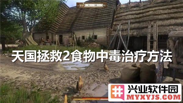 天国拯救2中食物中毒之恢复法门，探究其有效解救之道
