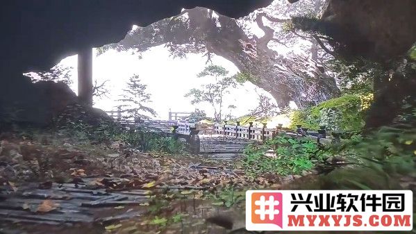 黑神话悟空龟蛇支线通关之道：帮你轻松克服难关的详细攻略