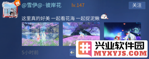 倩女手游落霞峰大地图盛大上线，联动神仙居景区引发玩家热潮