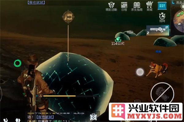 如何在星球重启异晶山谷中最佳摆放石头，提升效率与美观的实用技巧