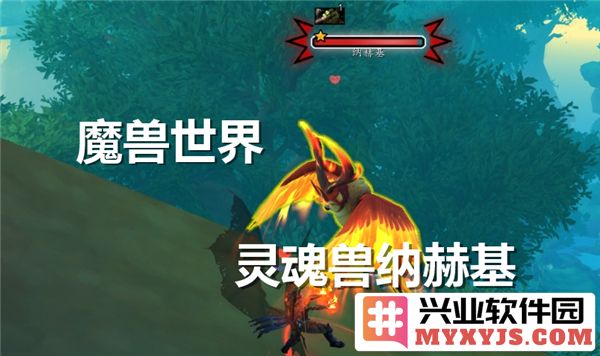 探寻魔兽世界灵魂兽纳赫基的获取之道与秘辛