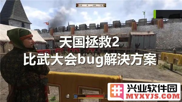 天国拯救2比武大会之困扰：详解BUG解决方案的重要性与实效性