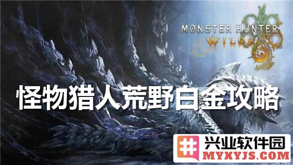 怪物猎人荒野白金策略：探秘猎人技能与装备搭配之道