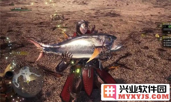 怪物猎人荒野钓鱼位置探秘：众多鱼类尽在掌握之中，渔者的乐园
