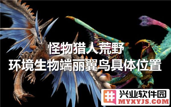 探寻《怪物猎人：荒野》中的端丽翼鸟秘境与环境特征