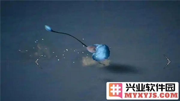 追寻沙之流星：怪物猎人荒野中最神秘的生物与其栖息地的探索