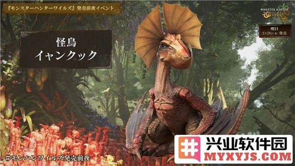 怪物猎人：探究荒野怪鸟之战术与掉落材料的奥秘