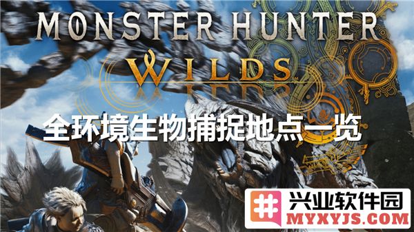 探索怪物猎人荒野全环境生物捕捉地点，揭秘隐藏的捕猎乐趣