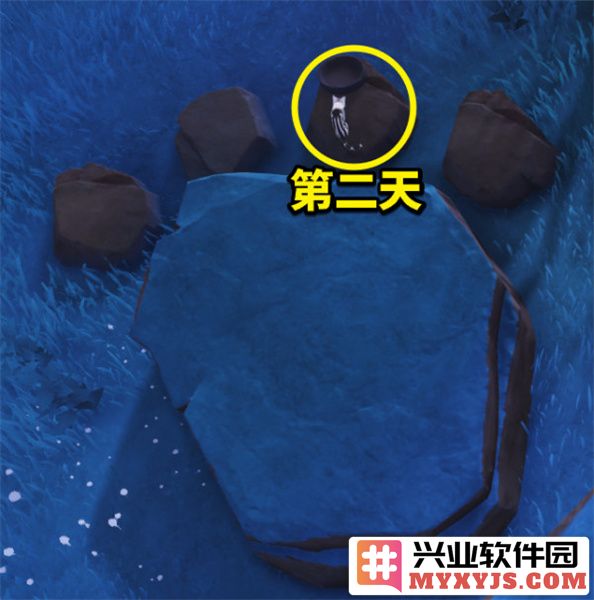 原神猫咪喂养成就如何达成？详细攻略分享原神喂猫成就完成方式