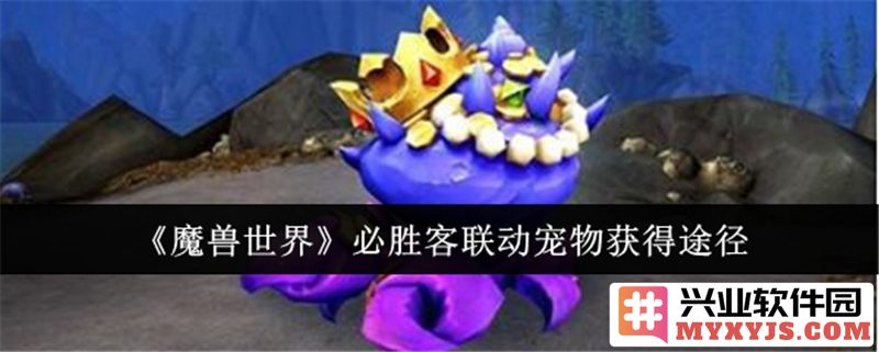 魔兽世界必胜客联动宠物获取方式详解：寻觅奇宠，乐趣无穷