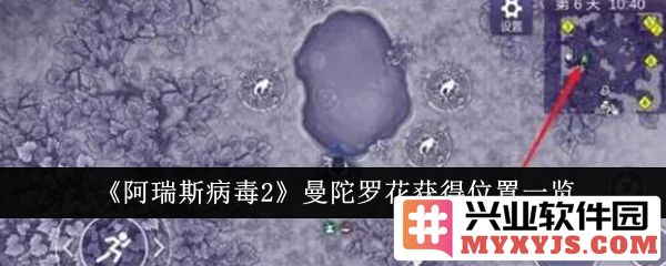 探寻阿瑞斯病毒2曼陀罗花的神秘之境，奇幻想象中的奇异启示