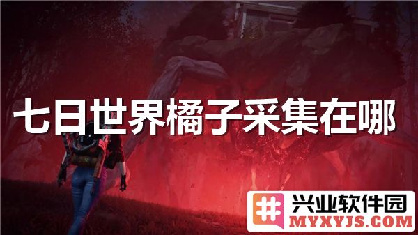 七日世界橘子采集：探寻独特文化与丰收乐趣的旅程