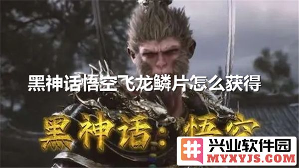 在黑神话悟空中探寻飞龙鳞片的获取路径与技巧