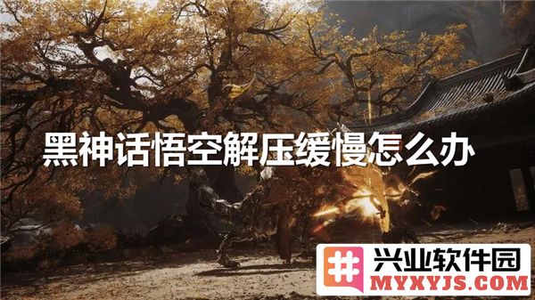 当黑神话悟空游戏解压缓慢时，玩家该如何应对与调整？