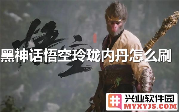 如何在黑神话悟空中高效刷玲珑内丹，提升实力与装备效率