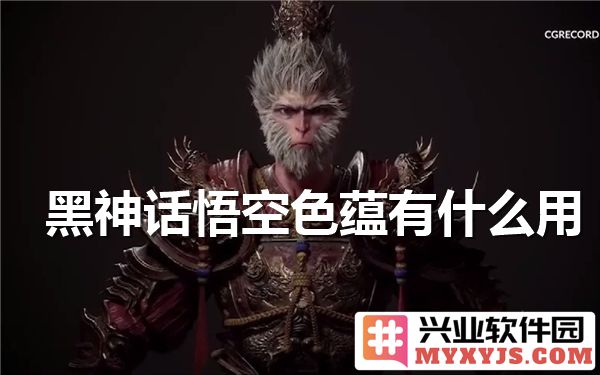 黑神话悟空之色蕴何用，深探其在游戏与文化中的意义