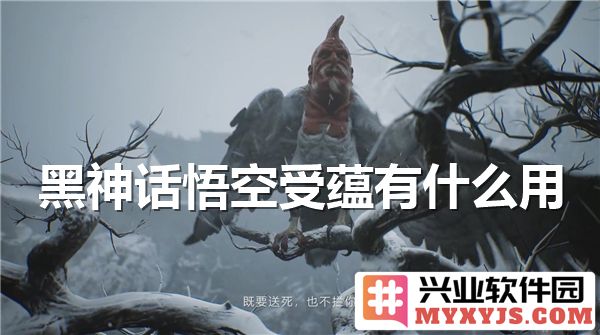 黑神话悟空受蕴之用，探讨其深层意涵与游戏体验相结合