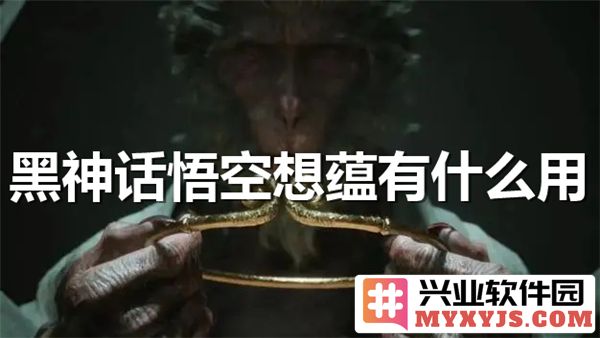 黑神话悟空的深层含义与人性探索：超越角色的哲学思考