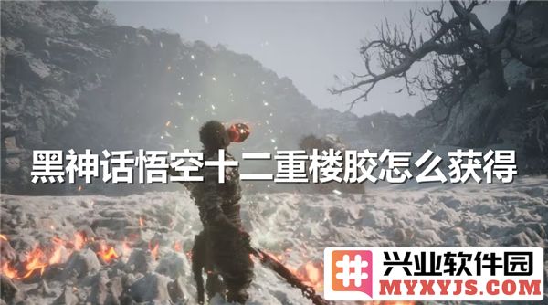 如何获得黑神话悟空中的十二重楼胶，助你战胜一切敌人