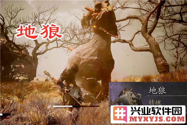 如何在黑神话悟空中获得狼精魄及其用法解析