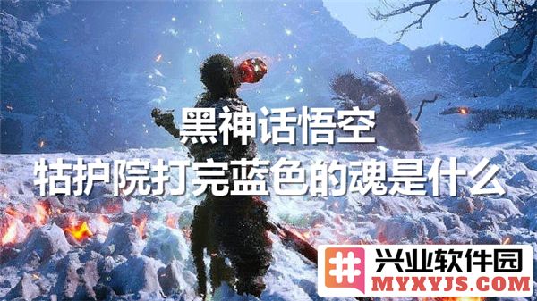 探讨黑神话悟空牯护院打完蓝色魂，为何能获得非凡的能力与体验
