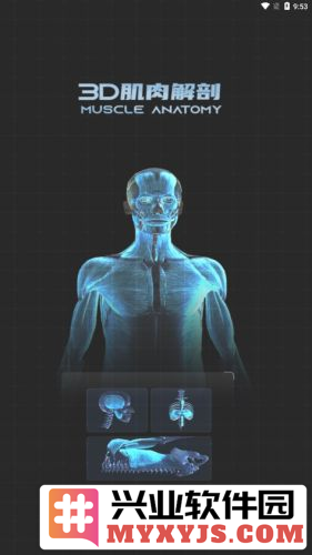 3D肌肉解剖app截图1