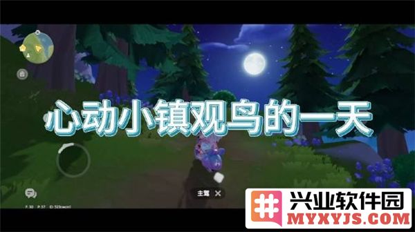 探索心动小镇的鸟类观察技巧与最佳观鸟地点指南