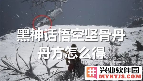 如何获取黑神话悟空中的坚骨丹丹方？详细途径解析！