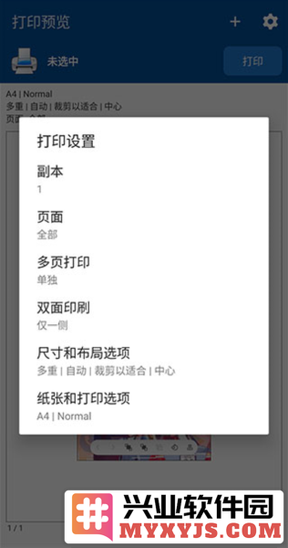 NokoPrint中文版截图1