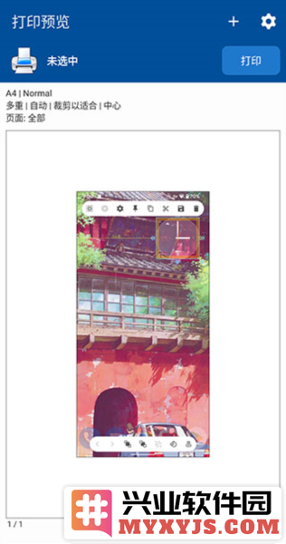 NokoPrint中文版截图3