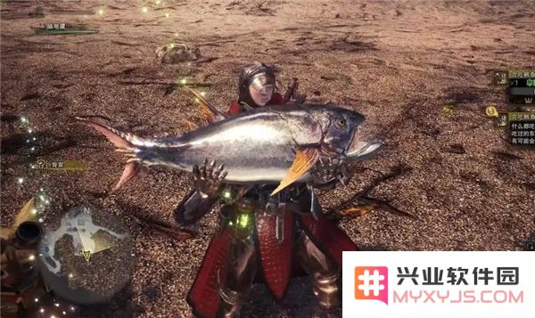 怪物猎人荒野钓鱼攻略-详细位置与可钓鱼类大全