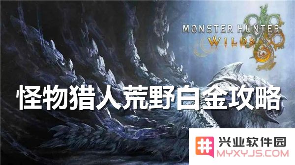 怪物猎人荒野白金成就获取策略与路线分享指南