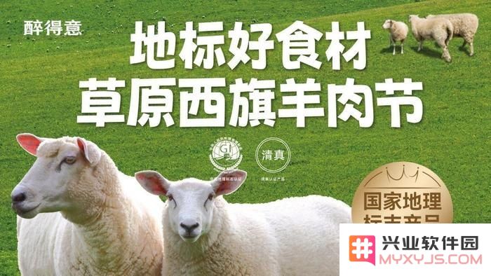 羊了个羊游戏创作者及其作品深度解析：探索其背后的设计理念与成功因素