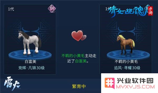 倩女幽魂高品质马教程