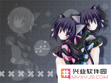 妖精直播APP最新版下载，创新功能引领直播潮流，网友评价：画质与操作皆出色