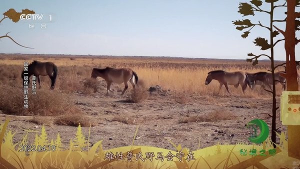 555tv电视版 v1.2.1 安卓版 1