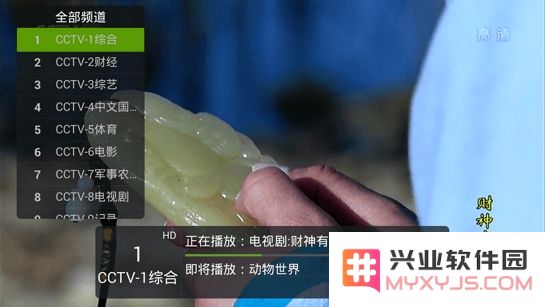 火星直播tv版下载