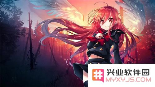 向日葵app下载汅api免费网址在线观看，探寻阳光下的无限可能：便捷与乐趣的完美结合