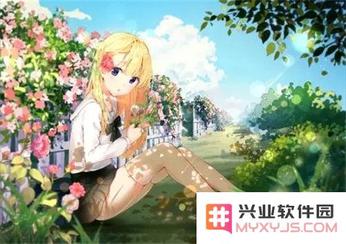 向日葵视频播放器下载让你畅享视听盛宴，轻松下载：全面解析向日葵的精彩功能