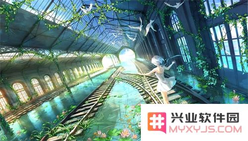 yy55tv夜月直播：探索主播背后的故事与精彩时刻