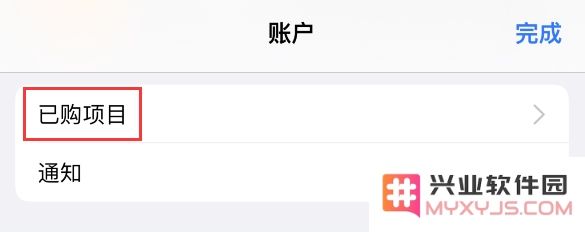 如何在 iPhone 上查看和重新下载 App Store 已购项目？