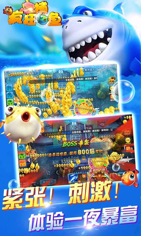 2025鱼丸疯狂捕鱼官方版 v10.2.44.1.0 安卓版 1