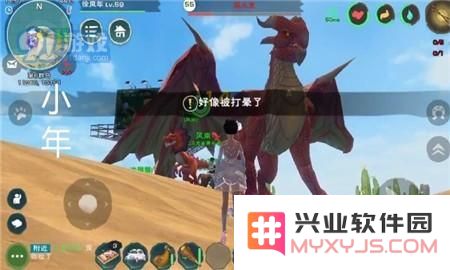创造与魔法飞龙怎么击晕 手持墨汁炸弹很重要